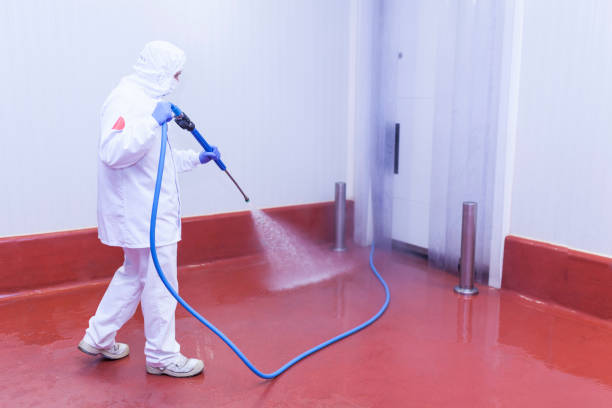 Best Boat and Dock Cleaning  in Sharon, PA